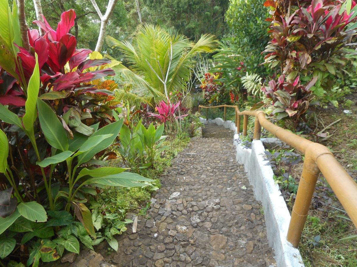 Villa Dukuh Selat エクステリア 写真
