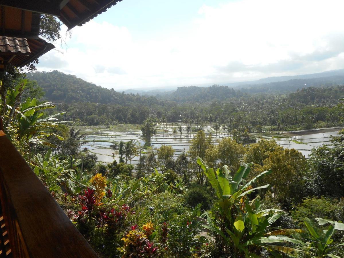 Villa Dukuh Selat エクステリア 写真