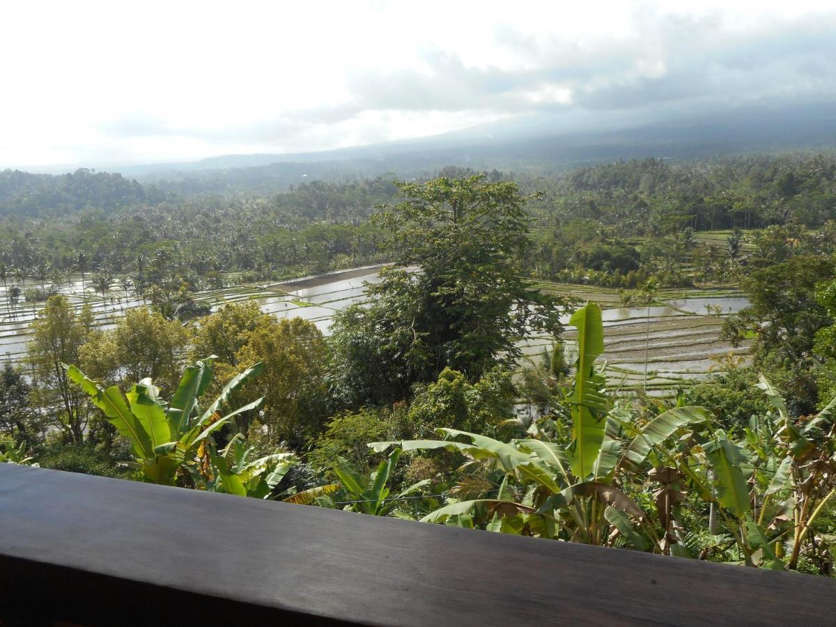 Villa Dukuh Selat エクステリア 写真