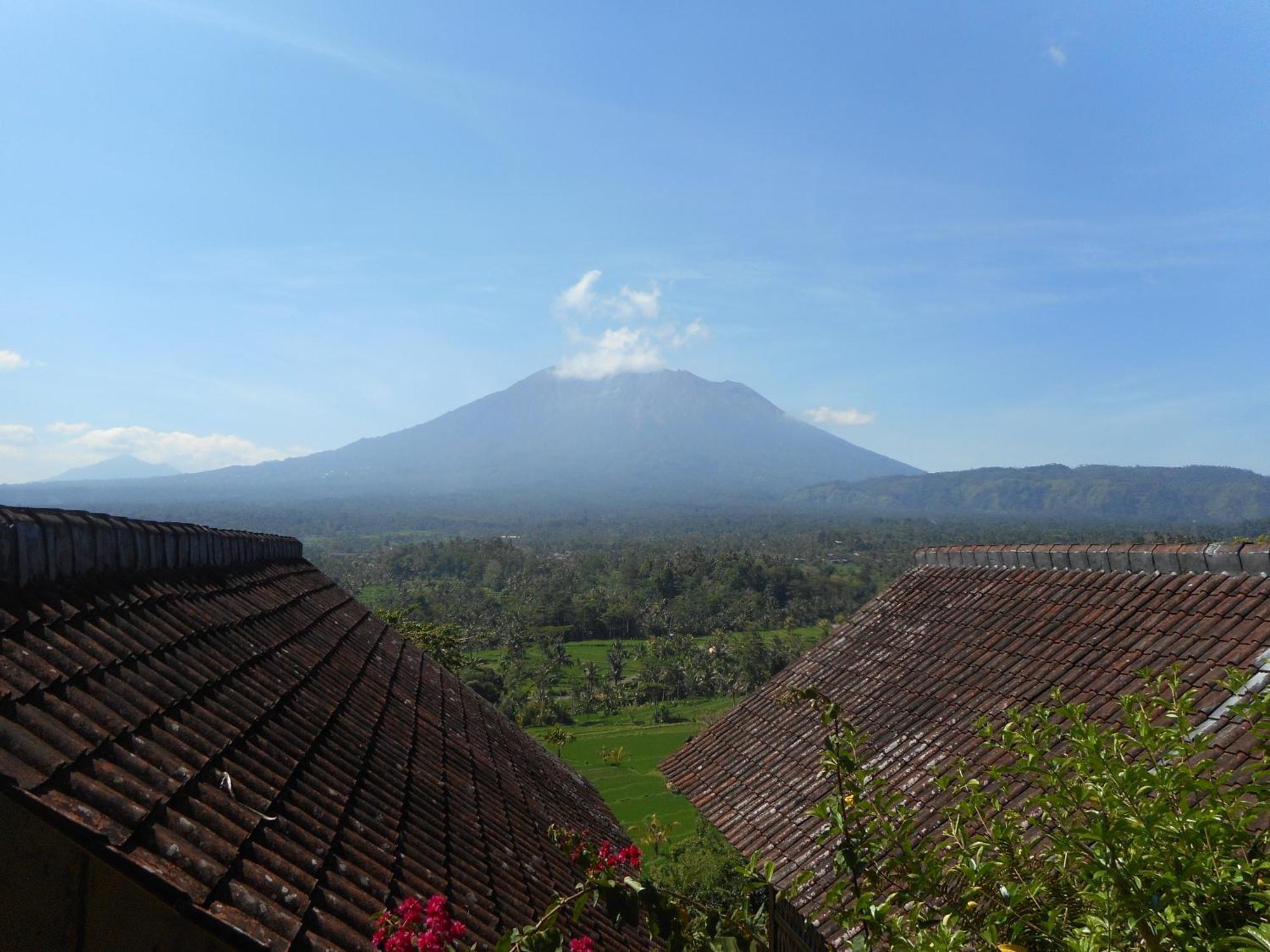 Villa Dukuh Selat エクステリア 写真