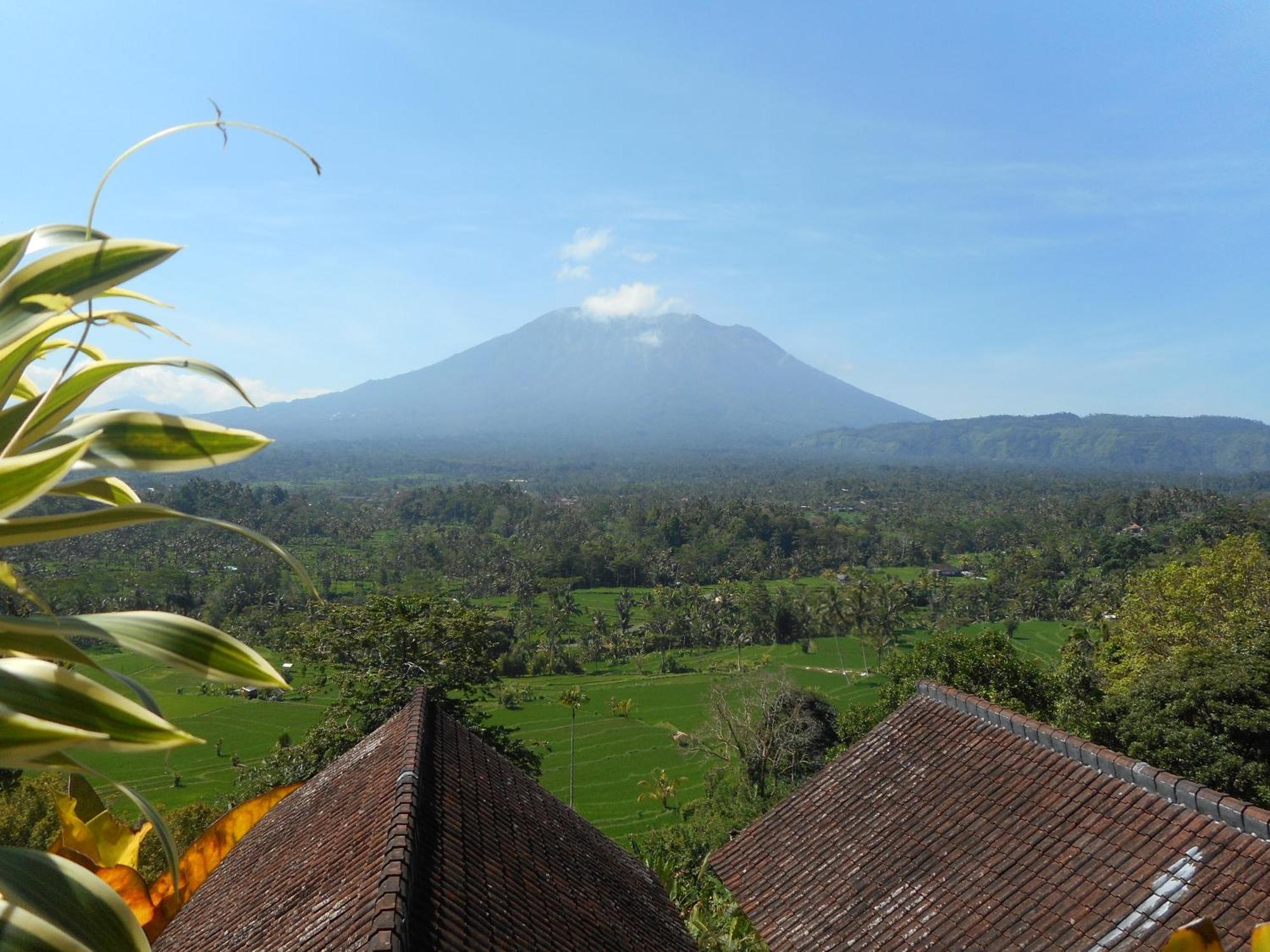 Villa Dukuh Selat エクステリア 写真