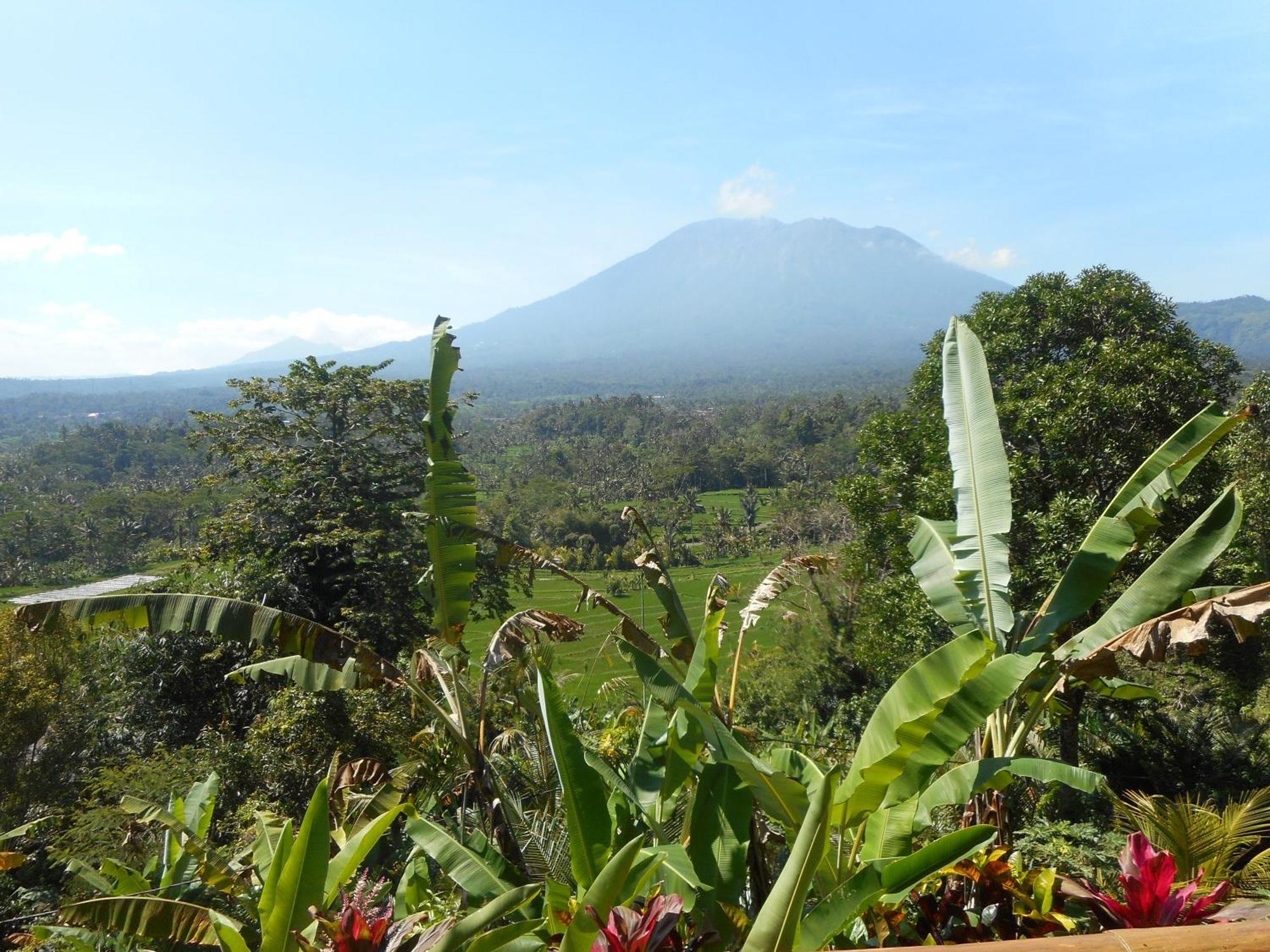 Villa Dukuh Selat エクステリア 写真