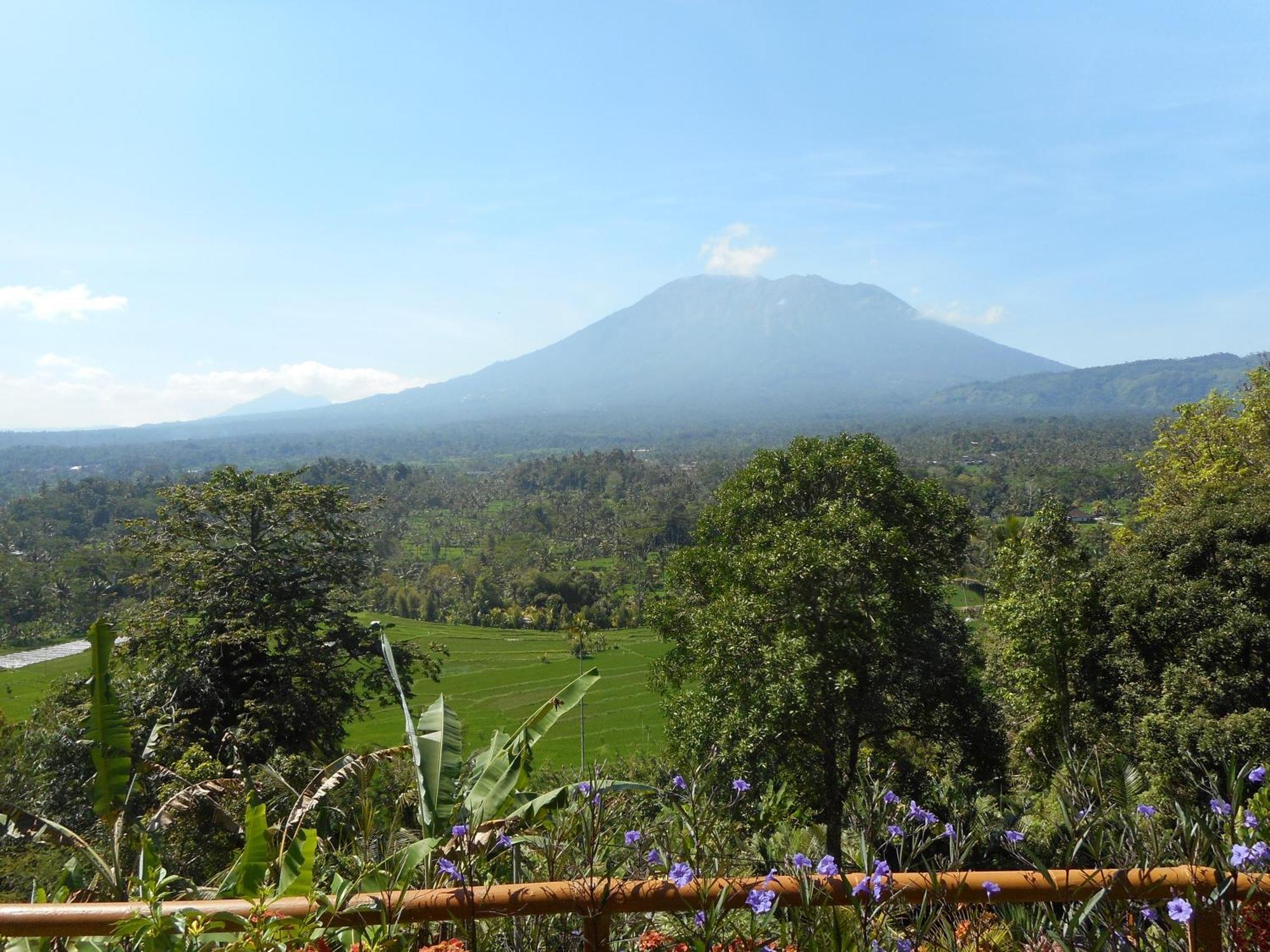 Villa Dukuh Selat エクステリア 写真
